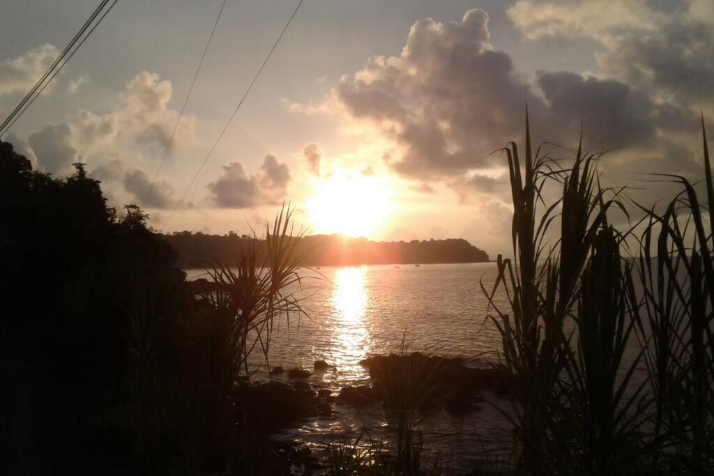 Drake Lapas * Drake Bay